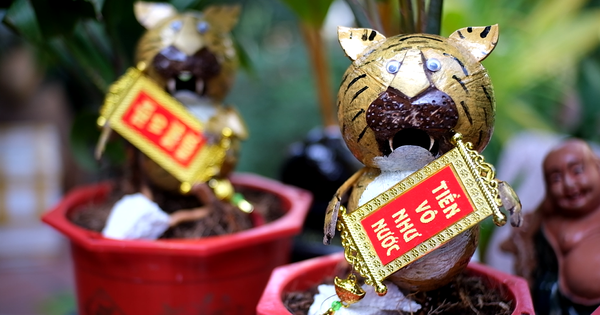 Chiêm ngưỡng dừa bonsai hình hổ thu hút khách trước Tết Nhâm Dần