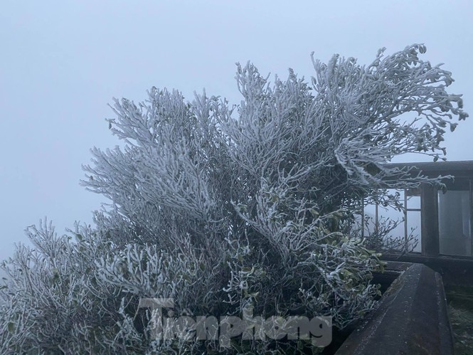 Băng tuyết xuất hiện trên đỉnh Mẫu Sơn - ảnh 6