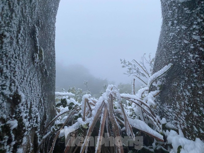 Băng tuyết xuất hiện trên đỉnh Mẫu Sơn - ảnh 9