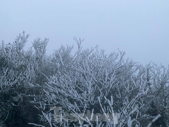 Băng tuyết xuất hiện trên đỉnh Mẫu Sơn - ảnh 8