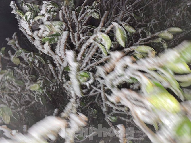 Băng tuyết xuất hiện trên đỉnh Mẫu Sơn - ảnh 3