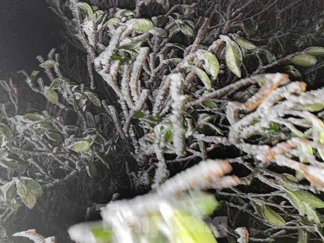 Băng tuyết xuất hiện trên đỉnh Mẫu Sơn - ảnh 4