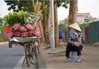 Lotus flower season arrives on Hanoi streets