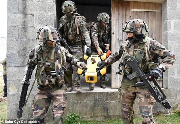 Xem chó robot trị giá 1,7 tỷ đồng của quân đội Pháp 'trổ tài' chiến đấu ảnh 3