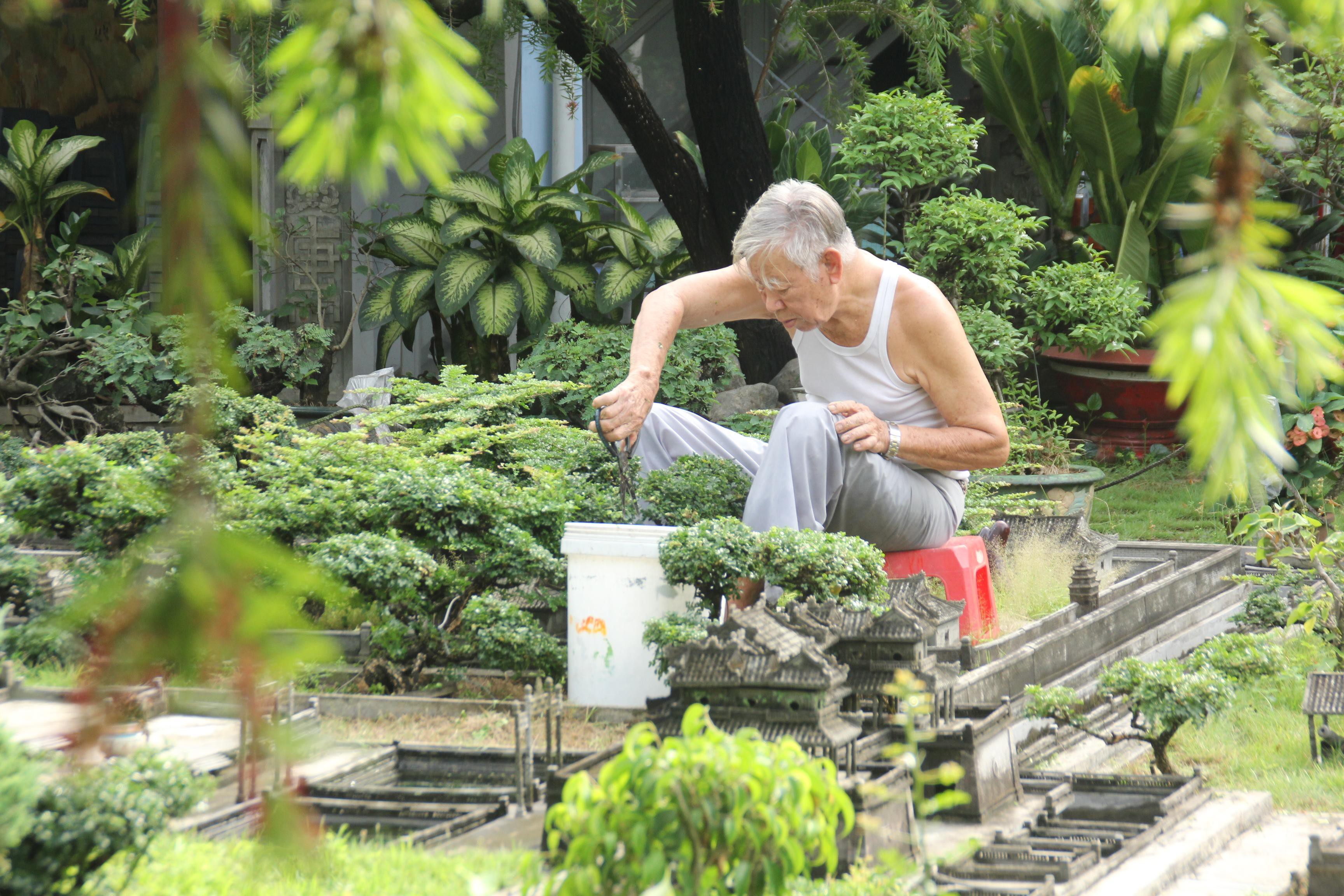 Vị tiến sỹ dành 7 năm phục dựng kinh thành Huế trên đất Sài thành ảnh 18