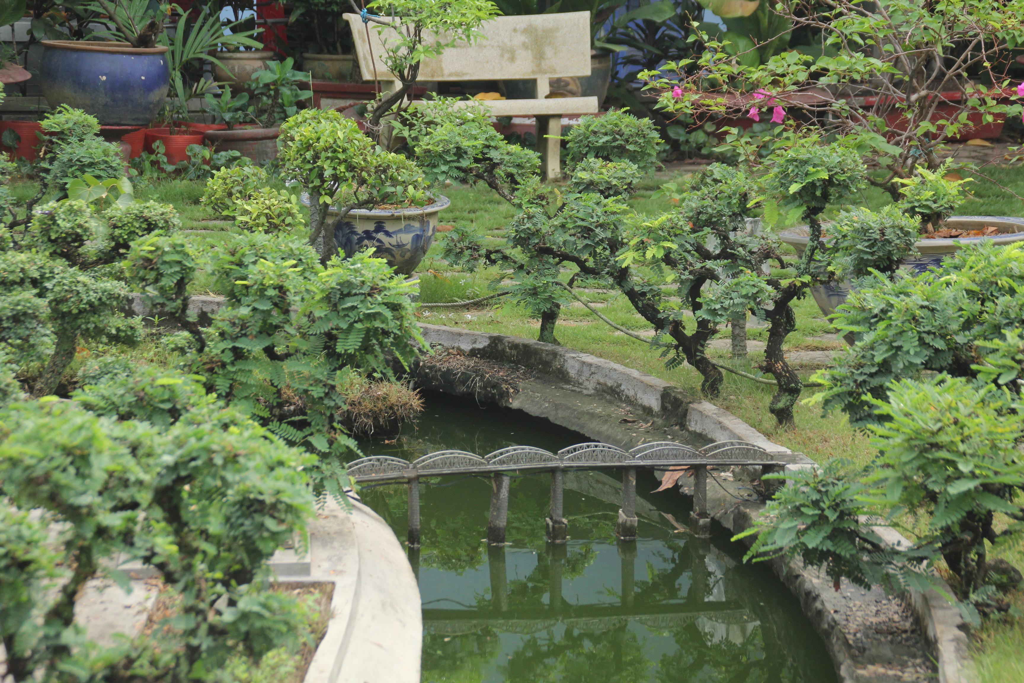 Vị tiến sỹ dành 7 năm phục dựng kinh thành Huế trên đất Sài thành ảnh 8