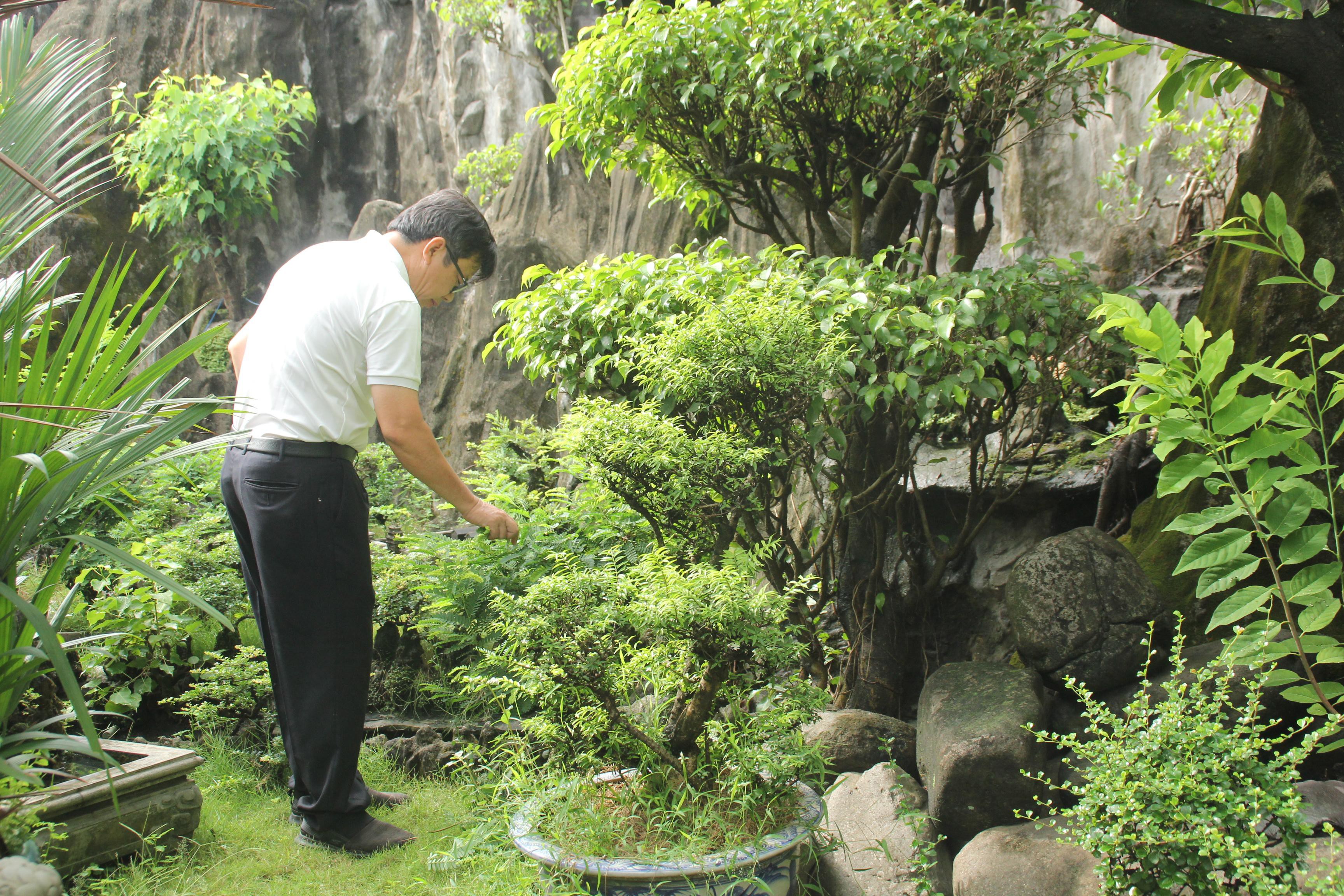 Vị tiến sỹ dành 7 năm phục dựng kinh thành Huế trên đất Sài thành ảnh 16