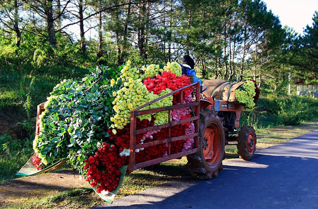 Chuyện ở ngôi làng hoa hồng số một Việt Nam ảnh 1