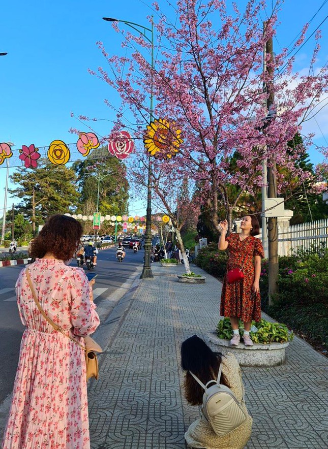 Khách sạn, nhà nghỉ quá tải, nhiều du khách dựng lều ngủ qua đêm bên hồ Xuân Hương ảnh 6