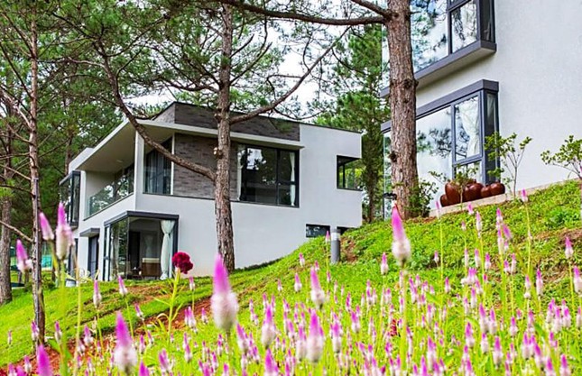 Nhiều thủ đoạn lừa đảo, chiếm đoạt tiền đặt cọc thuê khách sạn ở Đà Lạt ảnh 1