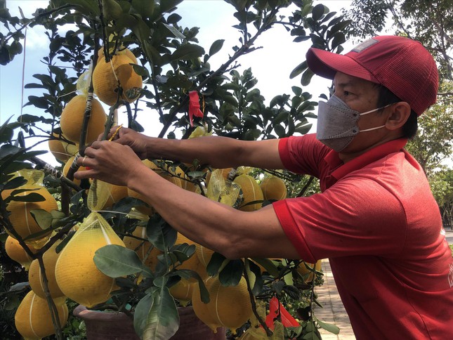 Đặc sản đua nhau về phố ảnh 1