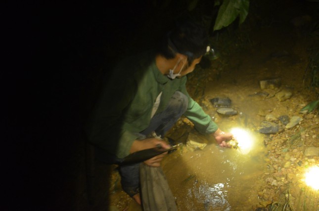 Lên núi săn cua đá ảnh 1