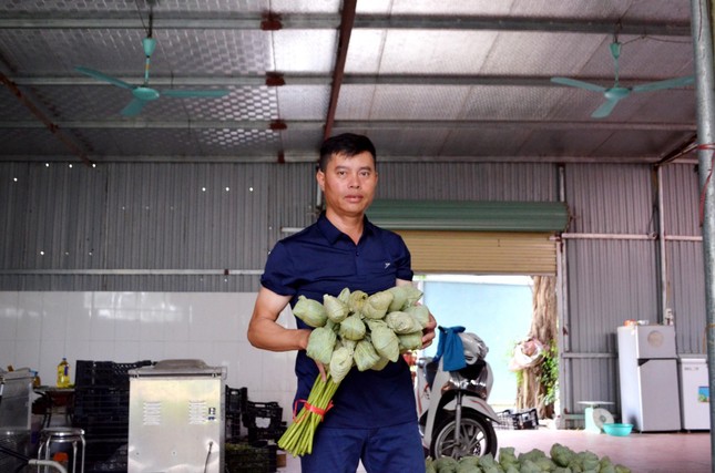 Giàu lên từ trồng sen ảnh 2