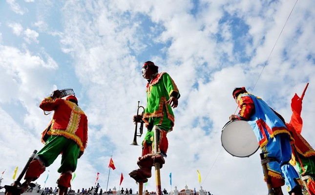 Cà kheo Nam Định ảnh 3