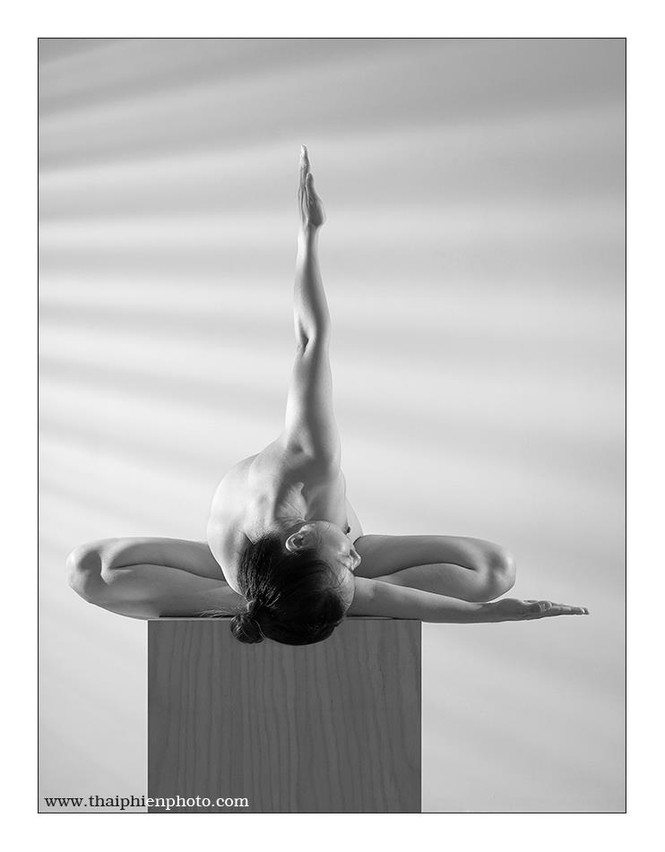 Thái Phiên ra sách ảnh nude yoga độc bản tặng người mẫu ruột - ảnh 3
