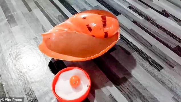 Cắn trúng viên ngọc trai màu cam tiền tỉ khi đang ăn ốc luộc - ảnh 3