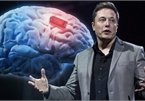 Elon Musk đã tải bộ não của mình lên đám mây