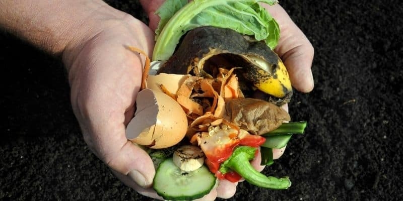 13 mẹo nhỏ mà cực thiết thực giúp bạn tiết kiệm tiền thực phẩm tối đa khi ngân sách eo hẹp - Ảnh 13.