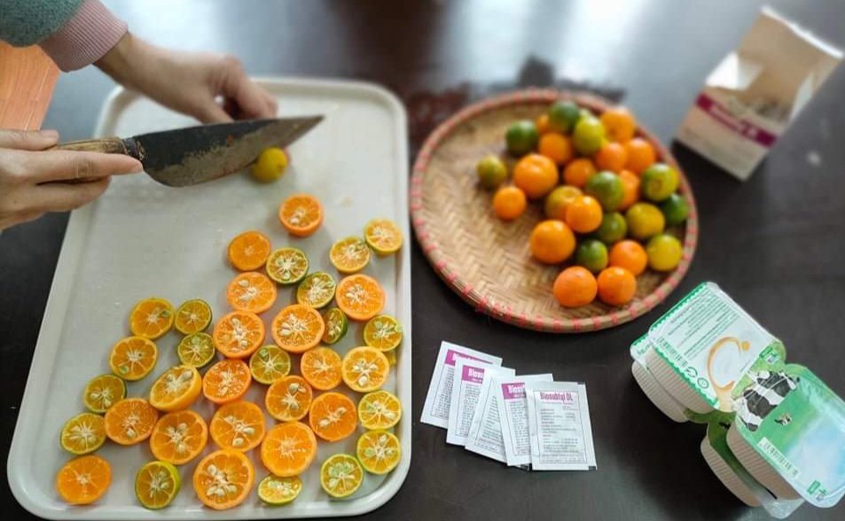 Instructions on how to make a natural cleaning solution from kumquats on Tet holiday - Photo 2.