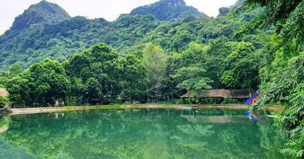 Bố tử nạn khi cứu 2 con nhỏ suýt bị đuối nước dưới hồ