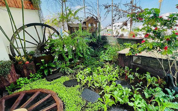 The terrace garden is as beautiful as the fairy tale of the cooking teacher