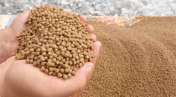 Xuất bột cá sang Trung Quốc rồi lại nhập về: Có nghịch lý?