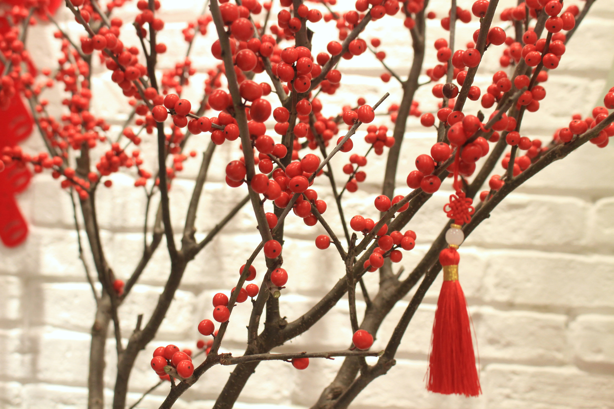 Giá đào đông chơi Tết 30 triệu đồng, nhìn như cây giả mà đắt không tưởng - Ảnh 8.