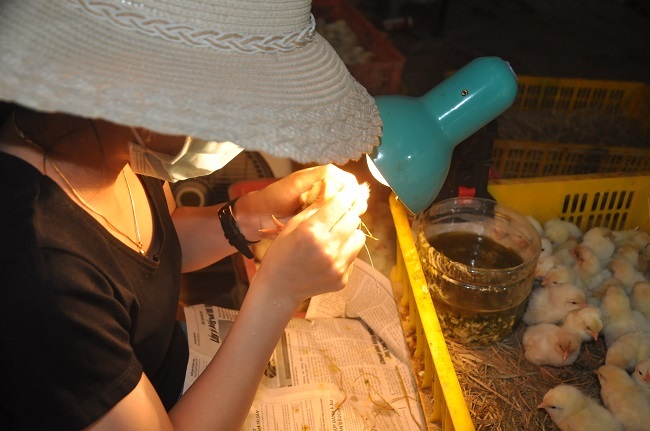 Kỳ lạ nhất Việt Nam: Một nghề trả thù lao 2 triệu/ngày vẫn luôn thiếu người - Ảnh 1.