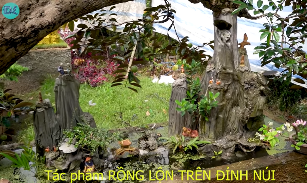 Ngắm cây vú sữa dáng rồng cổ quái, chồng hỏi ý vợ rồi hô 3 tỷ đồng: Sự thật hé lộ thú vị - Ảnh 6.