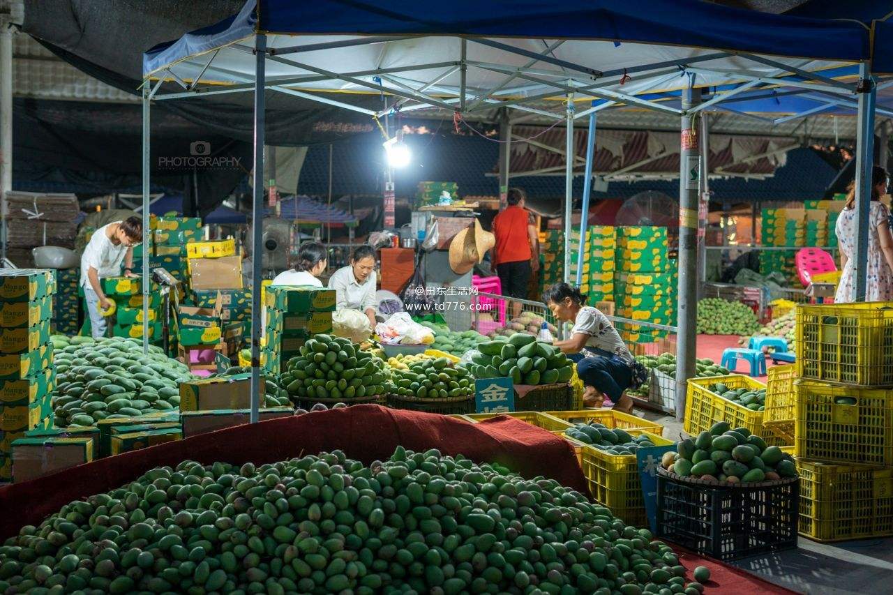 Vua xoài Đông Nam Á khóc hận trước Việt Nam: Vì một tấm biển chữ Trung Quốc? - Ảnh 1.