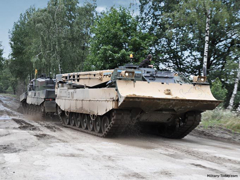 WISENT: Xe công binh gắn súng máy - trợ thủ đắc lực của quân đội Đức - ảnh 6