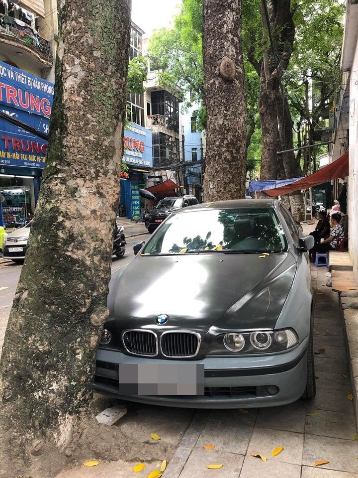 Màn đỗ xe đỉnh cao trên phố Hà Nội khiến dân mạng hoang mang: Xe hay cây có trước? - Ảnh 3.
