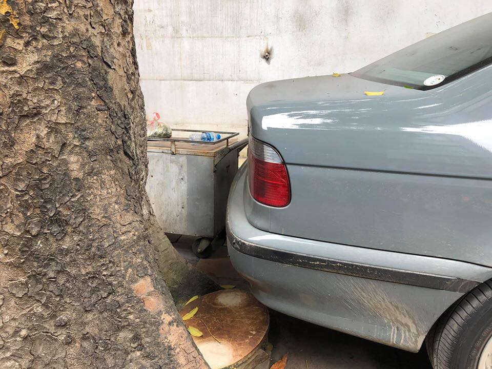 Màn đỗ xe đỉnh cao trên phố Hà Nội khiến dân mạng hoang mang: Xe hay cây có trước? - Ảnh 5.