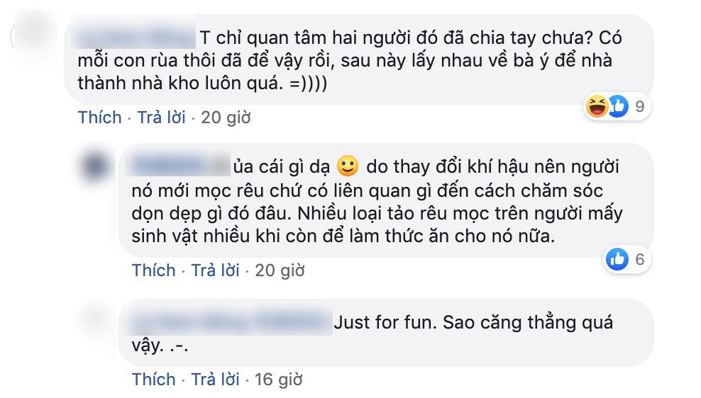 Chàng trai nhờ bạn gái chăm sóc rùa cưng vì bận đi công tác và cái kết bàng hoàng, dân mạng chỉ hỏi đúng một câu - Ảnh 3.