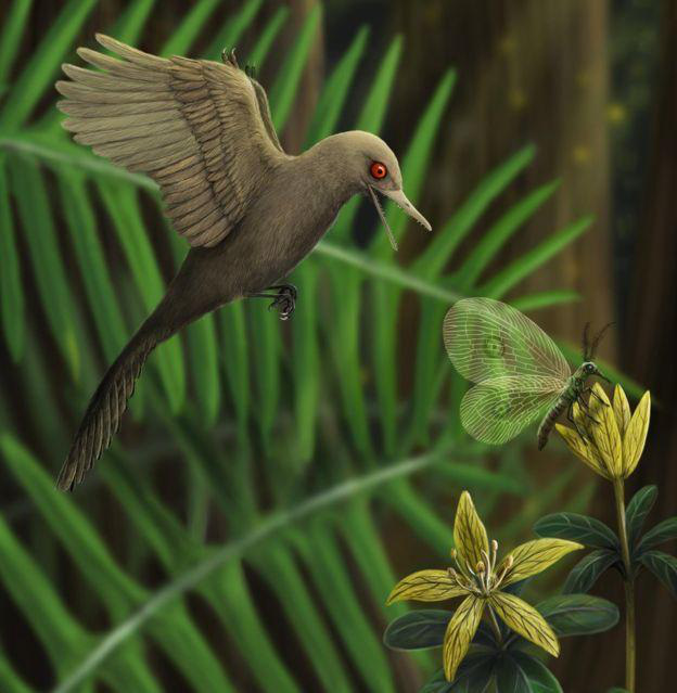 Phát hiện loài khủng long ăn thịt có kích cỡ nhỏ nhất trên Trái Đất, còn bé hơn cả một con chim ruồi - Ảnh 1.