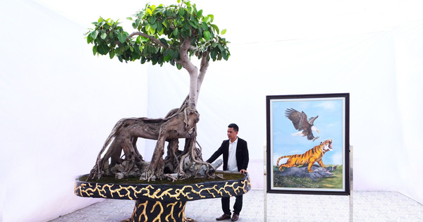 Nhặt hạt về trồng, ai ngờ thành siêu cây cổ quái 30 tỷ, đại gia Hải Dương nở mày nở mặt