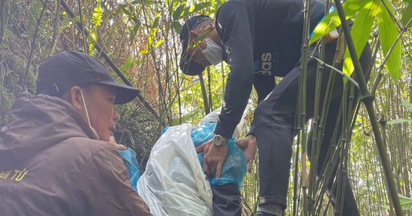 The woman in Hanoi miraculously survived 7 days after falling into the abyss of Yen Tu mountain