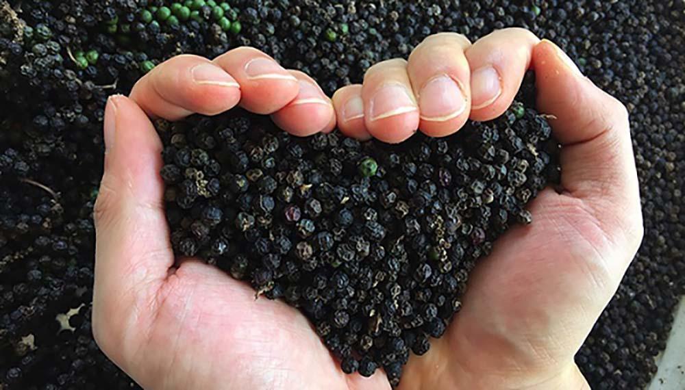 Bài học lên đỉnh, xuống đáy của ‘vàng đen’ Việt Nam-1