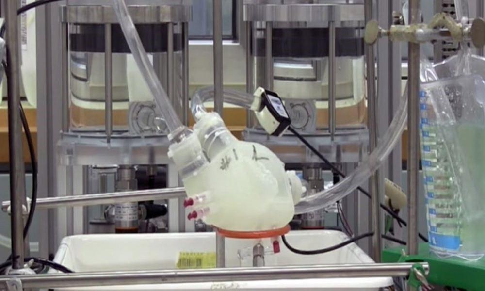 Con người sẽ trở nên bất tử-1