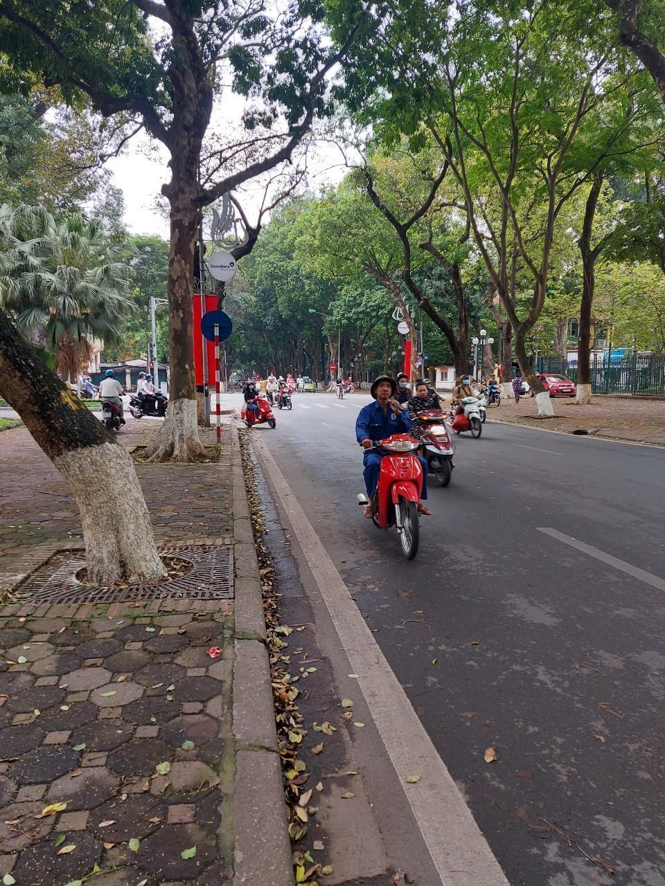 Công nghệ số giải nỗi lo mất mạng do cây đổ-1