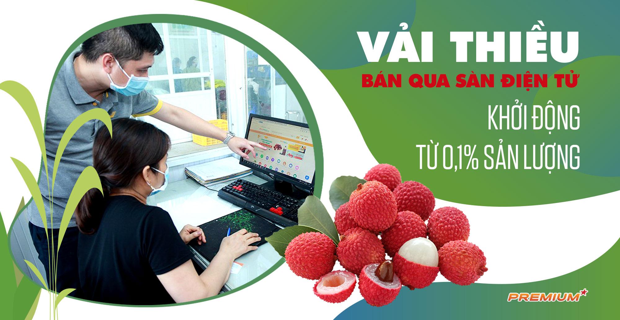 Vải thiều bán qua sàn điện tử khởi động từ 0,1% sản lượng