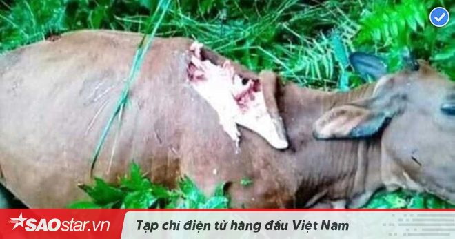 Nghe VietNamNet: Mỹ, Trung ấn định đàm phán thương mại vào ngày 10-11/10