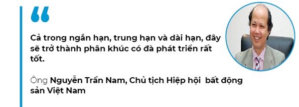 Phan khuc nha o gia re se len ngoi trong nam 2020?