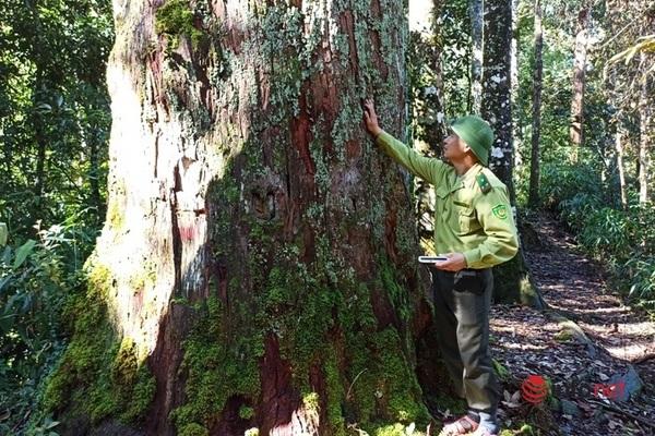 Thousand-year-old 'treasures' in central Vietnam