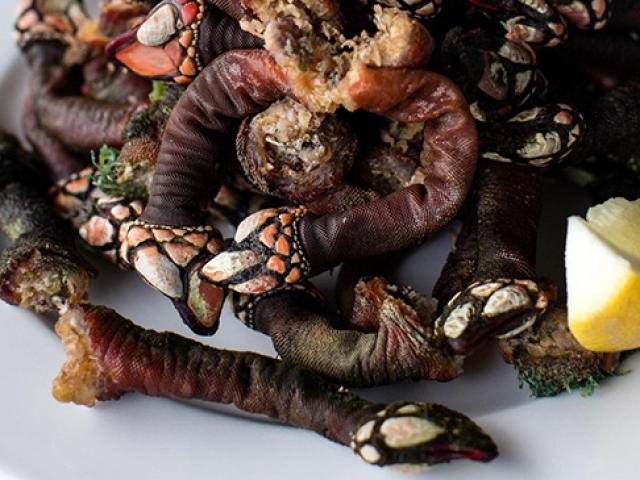 Loại hải sản gớm ghiếc mà giá cao ngất, muốn mua cũng khó