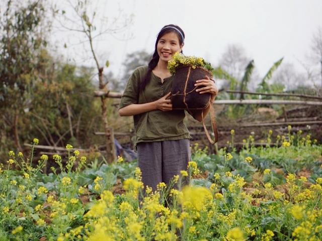 Cô nàng 9x bỏ phố lên rừng cải tạo nhà cũ, biến đất trống thành nông trại vạn người mơ