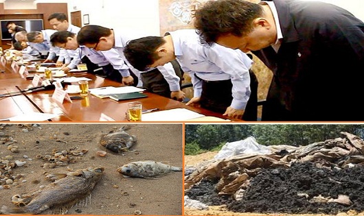 'Nghệ thuật' lấp liếm