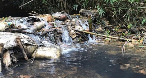 Nghe VietNamNet: Bắt 2 đối tượng liên quan đến việc đổ dầu gây ô nhiễm nguồn nước sông Đà