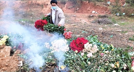 Xót xa nông dân cắt hoa đem đi đốt