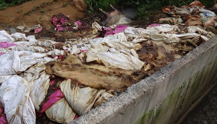 Shop TIN 19/7: HÀ TĨNH: Lãnh đạo Thị xã nói ngọng/ Cán bộ môi trường hốt hoảng - ảnh 7